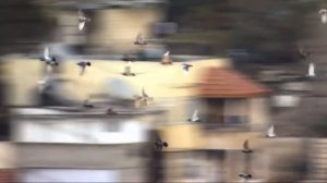 МАТФЕЙ. МАТФИЙ. ИУДА. АПОСТОЛЫ