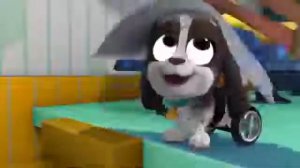 дружные мопсы на английском языке