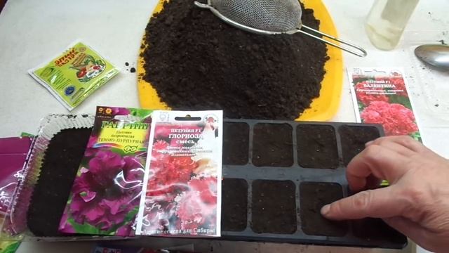 ПЕТУНИЯ. ПОСЕВ ГРАНУЛАМИ. Ольга Чернова. смотреть онлайн