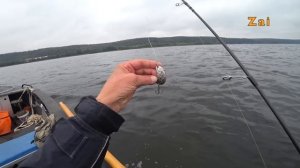 Спиннинг Crazy Fish OPTIMUS. Тестируем новинку.