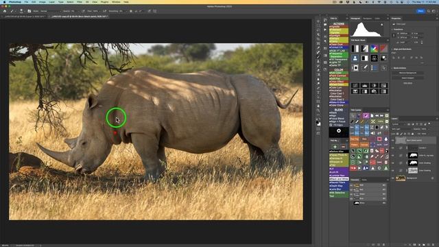 TK Friday Rhino Transformation Image by James May смотреть онлайн