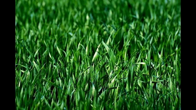 Дом и Интерьерная Мода