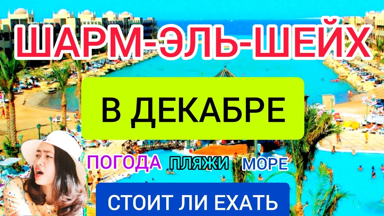 ШАРМ ЭЛЬ ШЕЙХ в декабре. Стоит ли ехать в ЕГИПЕТ ЗИМОЙ? Отдых в Египте: пляжи, погода, отели, цены смотреть онлайн
