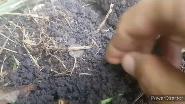 КОП вдоль старой дороги Находка которая сделала весь КОП Нательный крестик Штурвал смотреть онлайн