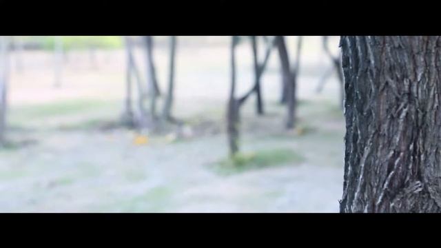 Hubsan X4 Storm Professional H122D FPV Racing Drone 3D Flip with LCD Video Monitor and HV002 Goggle смотреть онлайн
