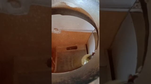 Легенды Эльфарии Al