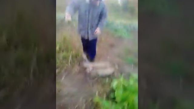 Навоз и деревня залог чистого успеха! смотреть онлайн