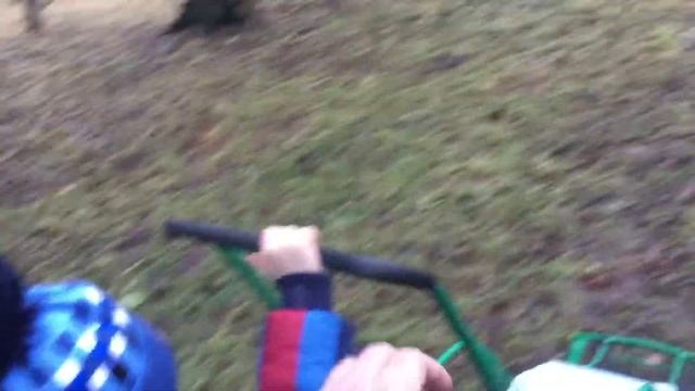 Наши всепогодные санки нас выручают!... Гатчинский парк. 31.12.2016, 15:03 смотреть онлайн