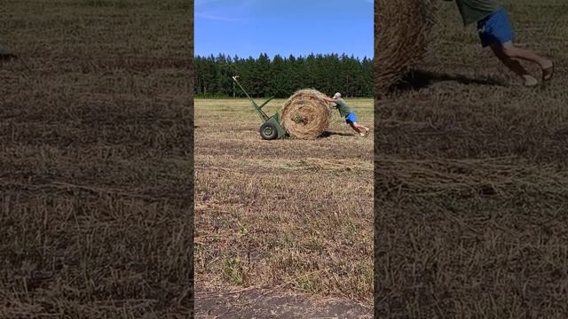 Прицеп для перевозки рулонов смотреть онлайн
