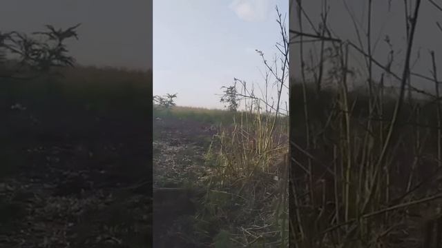 "Короче, везде лезут хохлы".
ㅤ смотреть онлайн