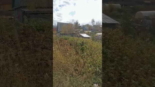 СНТ КЕДР ЗЕМЕЛЬНЫЙ УЧАСТОК 5 СОТОК ПО ЦЕНЕ 260 000т,р 89248348376 ИРКУТСК смотреть онлайн