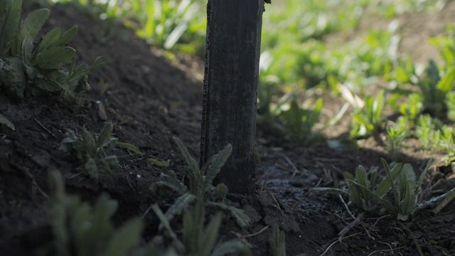 Установка шпалеры! смотреть онлайн