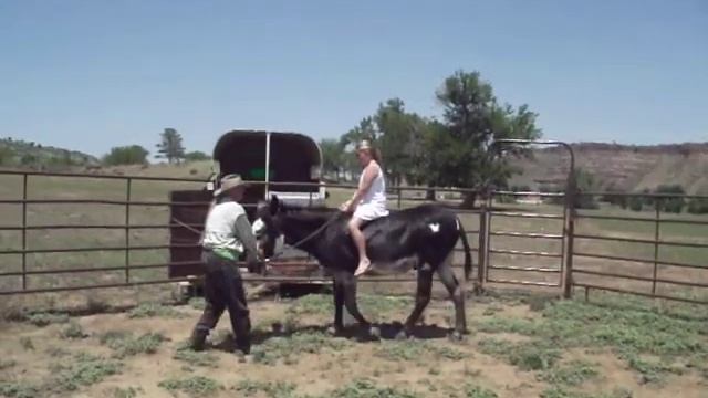 First-time donkey ride :) смотреть онлайн