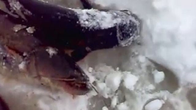 Пушкарь Сураж смотреть онлайн