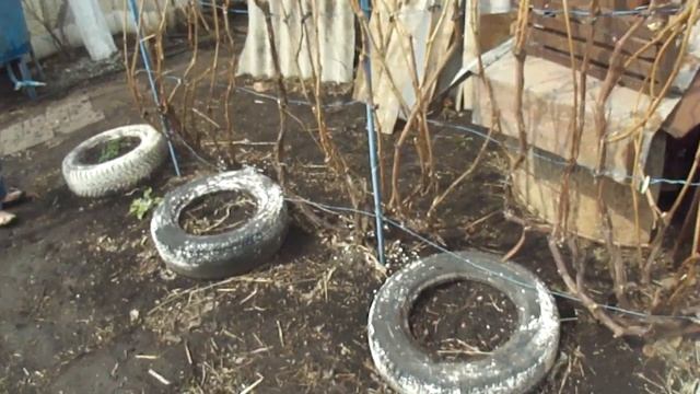 Уборка за баней! смотреть онлайн