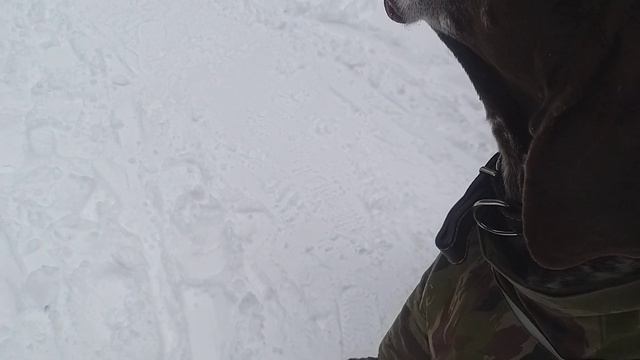 — Хотите ли вы, — спросила она, — чтобы ваши ресницы имели сверхъестественный объем смотреть онлайн