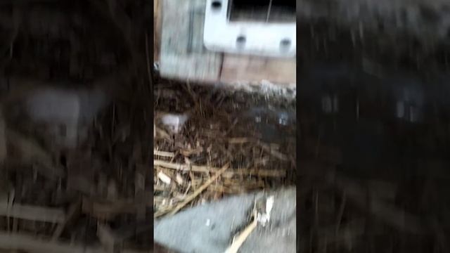 21 ноября 2023 г. смотреть онлайн