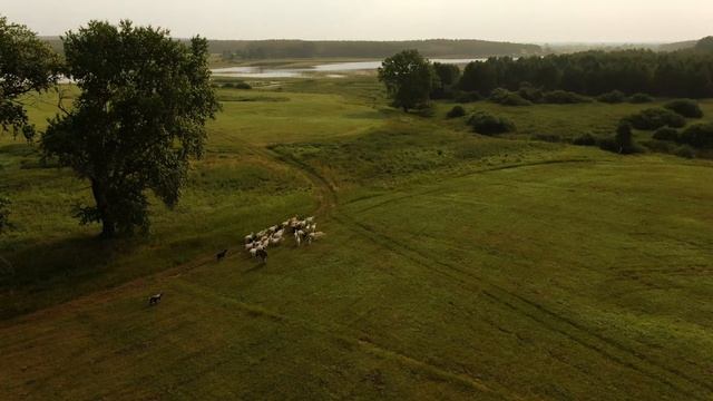 ДОБРО ПОЖАЛОВАТЬ В ДОЛИНУ КОЗ смотреть онлайн