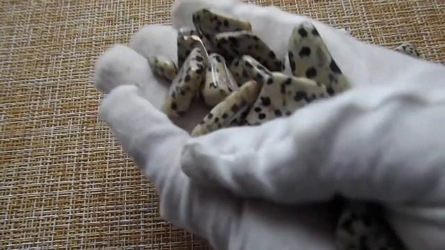 Скандинавские руны из камня яшма далматиновая 81 Галмей и Богема (psigeliya) смотреть онлайн