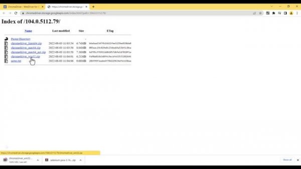 Create Java project in IntelliJ IDEA and configure Selenium WebDriver and Launch chrome browser