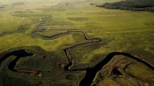 Собака откопала из норы то, что заставило хозяина содрогнуться. К такому он был не готов смотреть онлайн