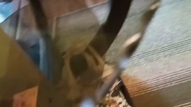 история шлепа на даче