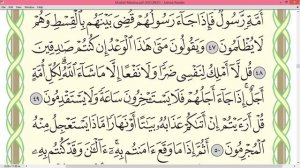 Шейх Айман Сувейд сура Юнус стр 214