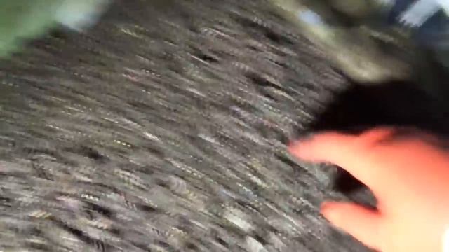 Новый эксперимент/Компост/Разведение червя дендробена смотреть онлайн