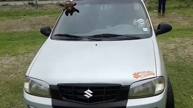 suzuki alto tuning смотреть онлайн