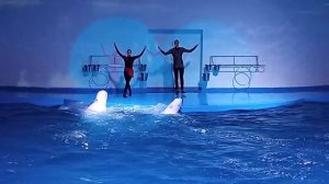 Дельфинарий г.Екатеринбург 1часть