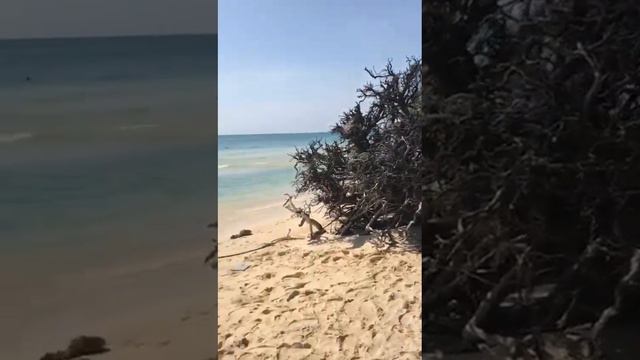 Солнечный Отпуск на Море! смотреть онлайн