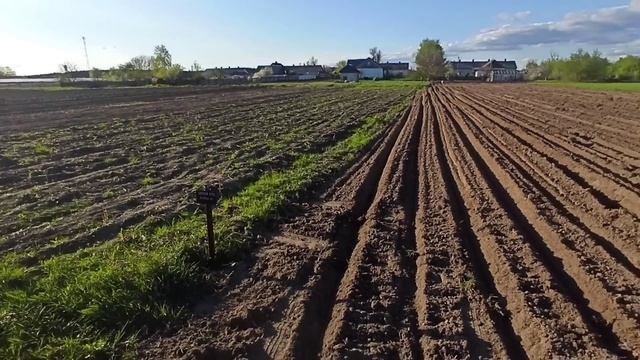 Нарезка борозд!Протравка семян картофеля!Посадка лука! смотреть онлайн