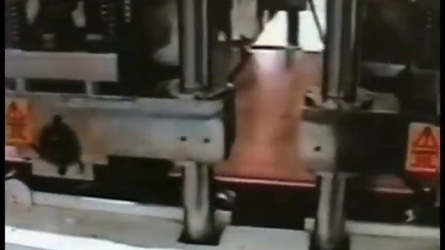 Conveyor Roll-On 60" - CPS Resources смотреть онлайн