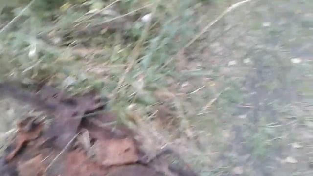 Вечерний коп или испытание АСИ-300. смотреть онлайн