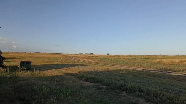 ДЕНЬ ИЗ ЖИЗНИ ПОДРОСТКА-СПОРТСМЕНА НА КАНИКУЛАХ смотреть онлайн