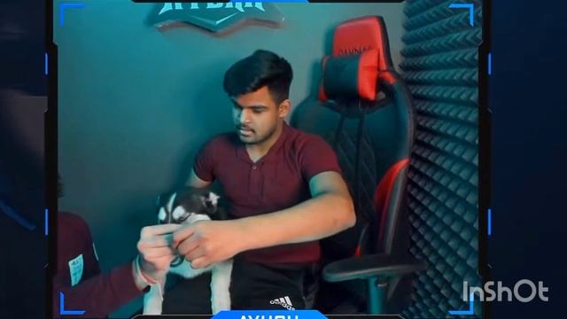 Hydra Ayush Show Bagheera Bootcamp PET With Python Gaming смотреть онлайн
