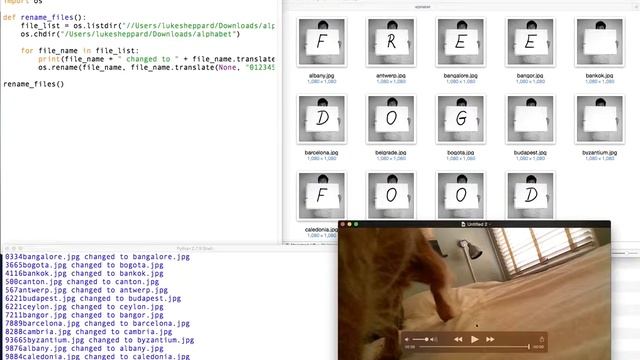 secret-message-python смотреть онлайн