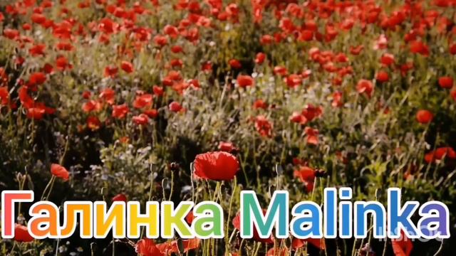 Мы родились в Сибири /Раскатали губу/Клейма негде ставить/Обзор Влогов /Мы родились в Сибири life / смотреть онлайн
