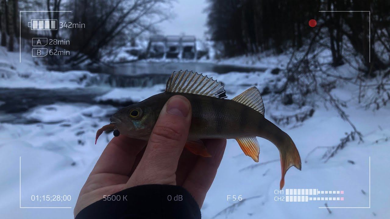 Мормышинг в сказочном месте зимой смотреть онлайн