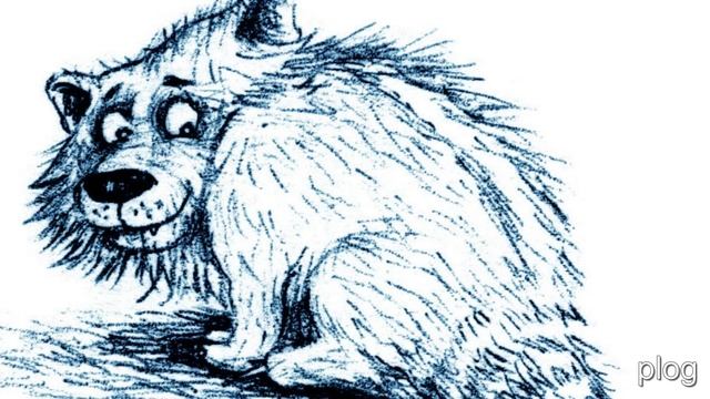 картинки фото