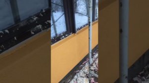 Утепление фасада дома в зимний период. Декоративка( шуба) плюс покраска. Конечный результат