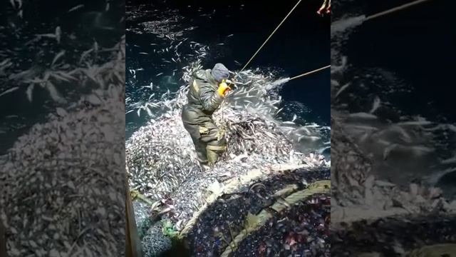 поймали полный трал рыбы моряки 2021 смотреть онлайн