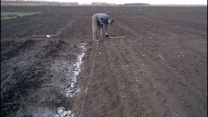 Посадка картофеля в апреле под лопату.