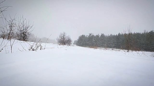 Спорт для музыкантов и для всех кто не любит спорт )) смотреть онлайн