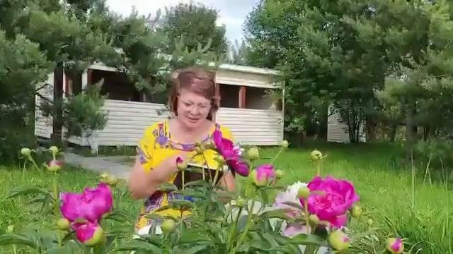 Любимая Россия - авторское стихотворение читает Чирова Галина смотреть онлайн