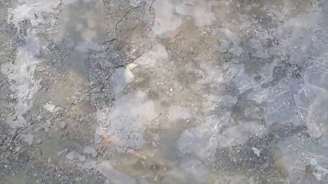 А с мороза взятки гладки..! смотреть онлайн