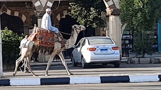 Шарм Эль Шейх | Старый город. Прогулка смотреть онлайн