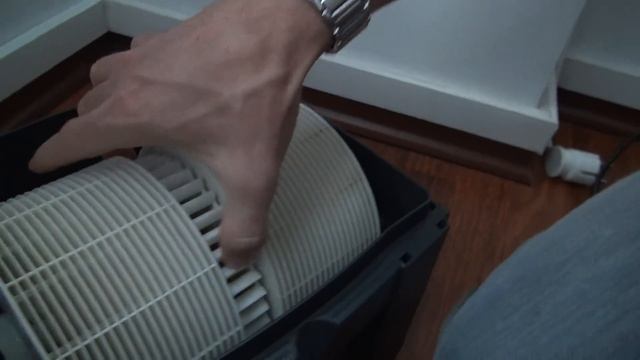 Venta LW14 După Primele 15 Zile (www.buhnici.ro)