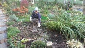 Сосновая кора в качестве мульчи Плюсы и минусы