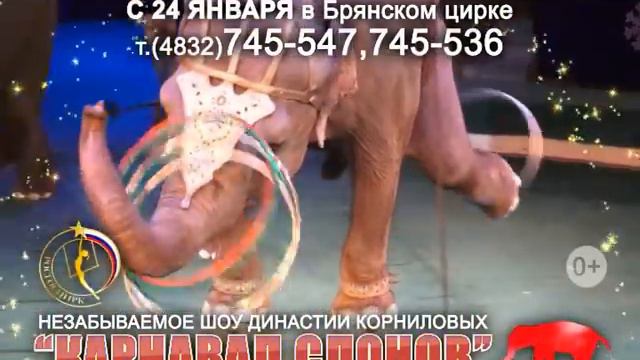Карнавал слонов смотреть онлайн